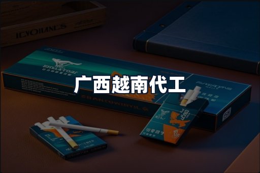 广西越南代工